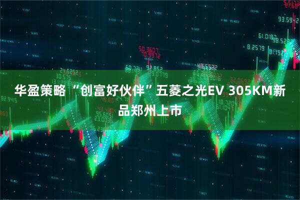 华盈策略 “创富好伙伴”五菱之光EV 305KM新品郑州上市