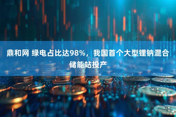 鼎和网 绿电占比达98%，我国首个大型锂钠混合储能站投产