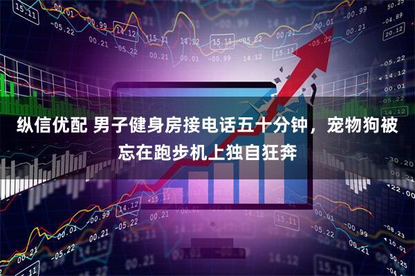 纵信优配 男子健身房接电话五十分钟，宠物狗被忘在跑步机上独自狂奔